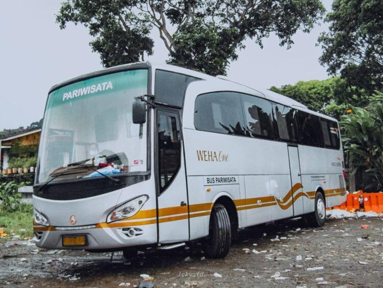 Bus Sembodo Fasilitas Rute Agen Dan Harga Tiket 2024