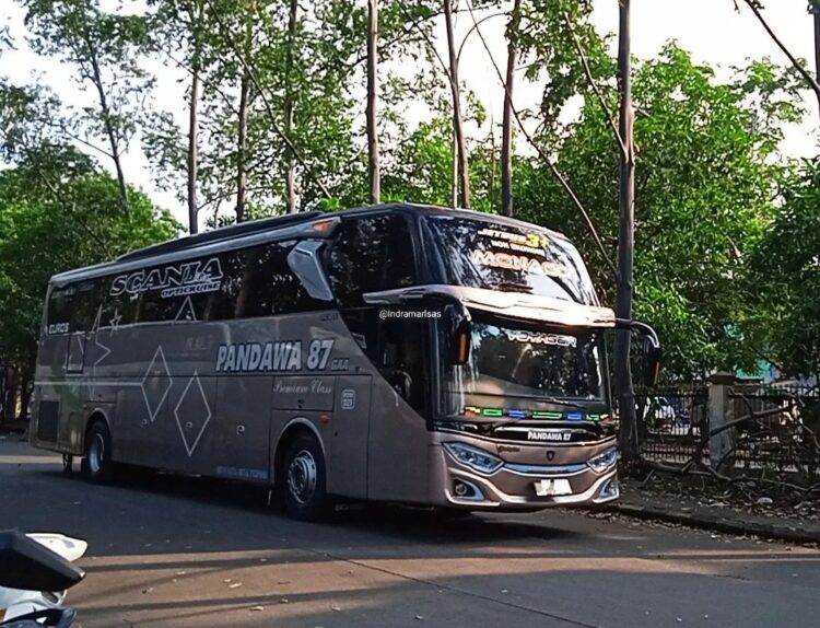 Bus Pandawa 87: Tarif, Fasilitas, Dan Kontak Agen Terdekat!