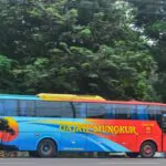 Armada Bus Gajah Mungkur (sumber: Instagram)