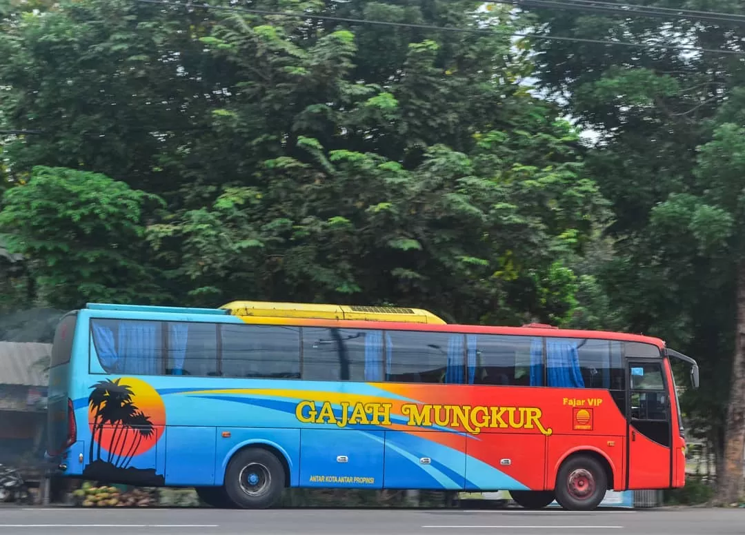 Armada Bus Gajah Mungkur (sumber: Instagram)