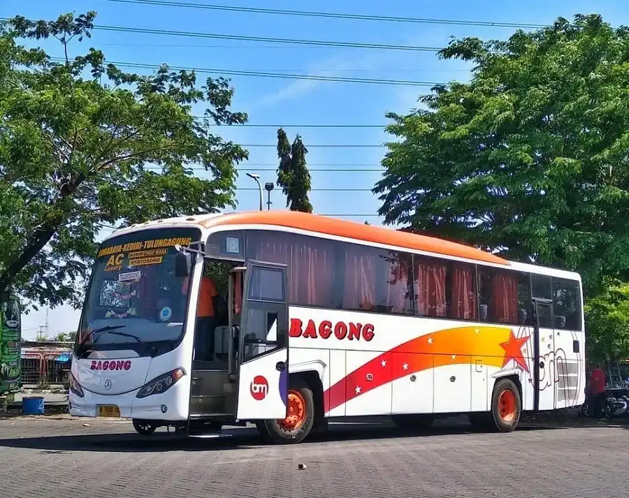 Profil Bus Bagong (Sumber: @agung_1836 on Instagram)